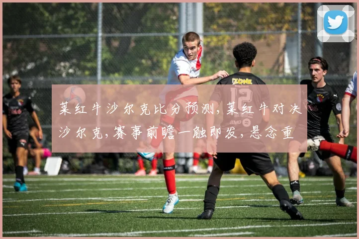 莱红牛沙尔克比分预测,莱红牛对决沙尔克,赛事前瞻一触即发,悬念重重
