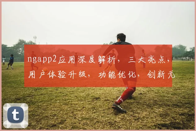 ngapp2应用深度解析，三大亮点，用户体验升级，功能优化，创新无限